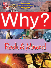 Image of Why?: Fine Dust